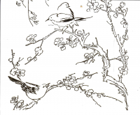 Patient Testimonial Card